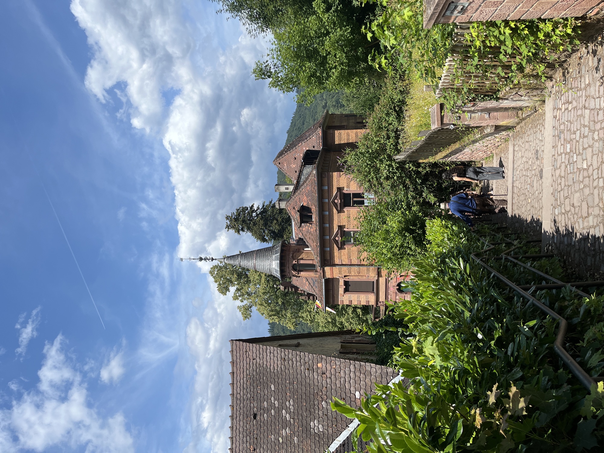 A memory from Heidelberg